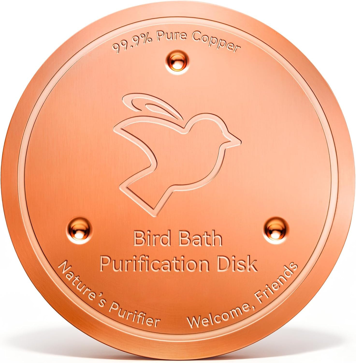 HLGOOD™  Bird Bath Copper Discs Purifies Bird Bath Water